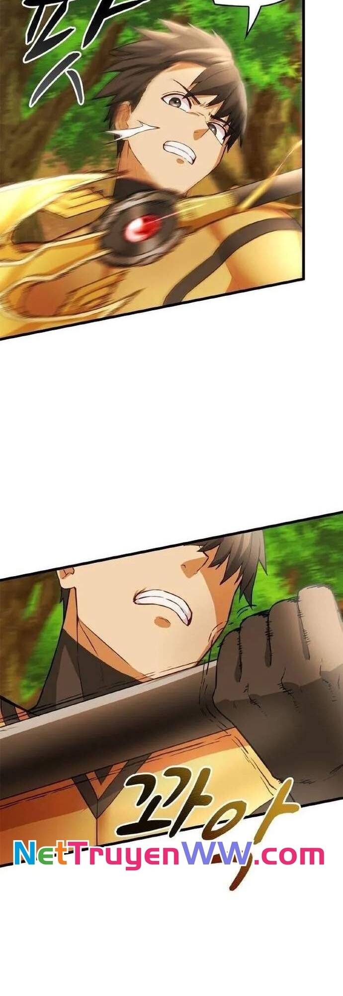 Siêu Thăng Cấp Anh Hùng Chapter 11 - 30