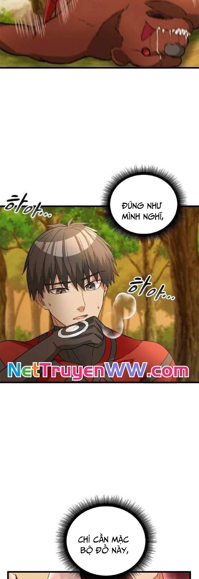 Siêu Thăng Cấp Anh Hùng Chapter 11 - 10