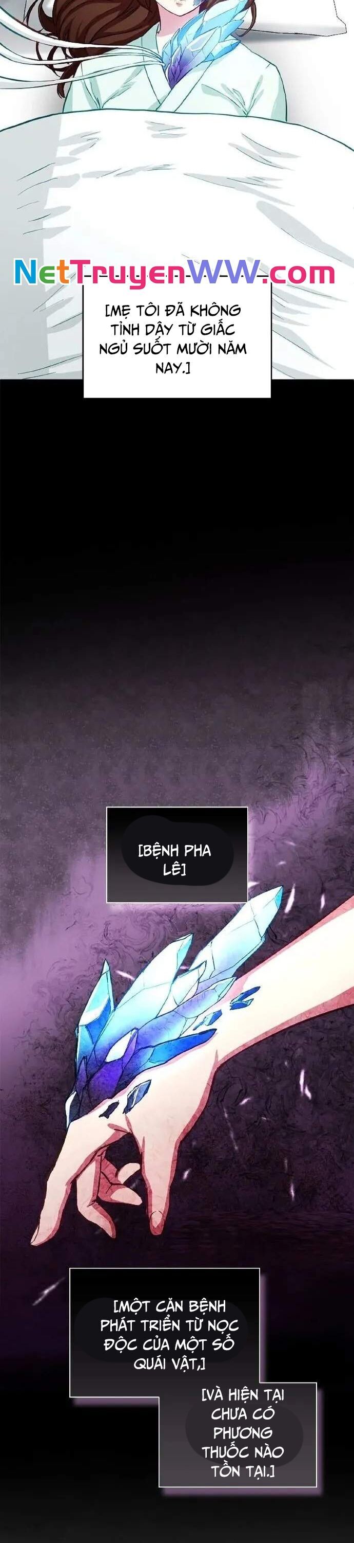 Siêu Thăng Cấp Anh Hùng Chapter 3 - 19