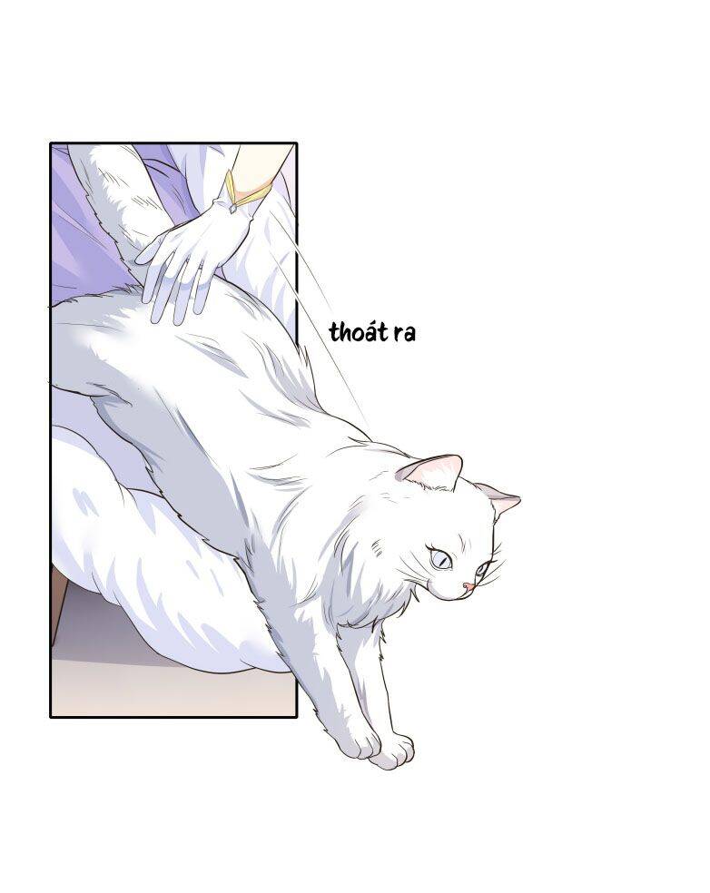 Viên Tiên Sinh Luôn Không Vui Chapter  29 - 23