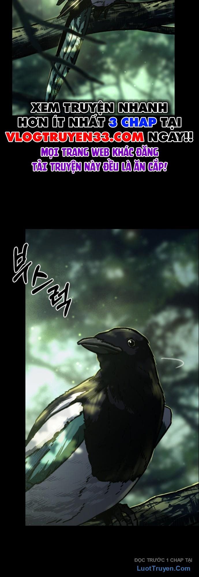 Cửu Long Saroka Chapter 0 - 3