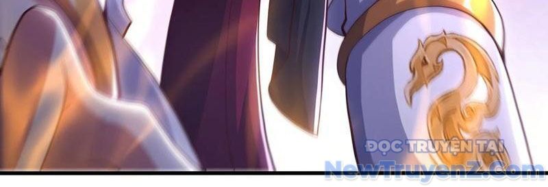 Trụ Vương Tái Sinh Không Muốn Làm Đại Phản Diện Chapter 119 - 43