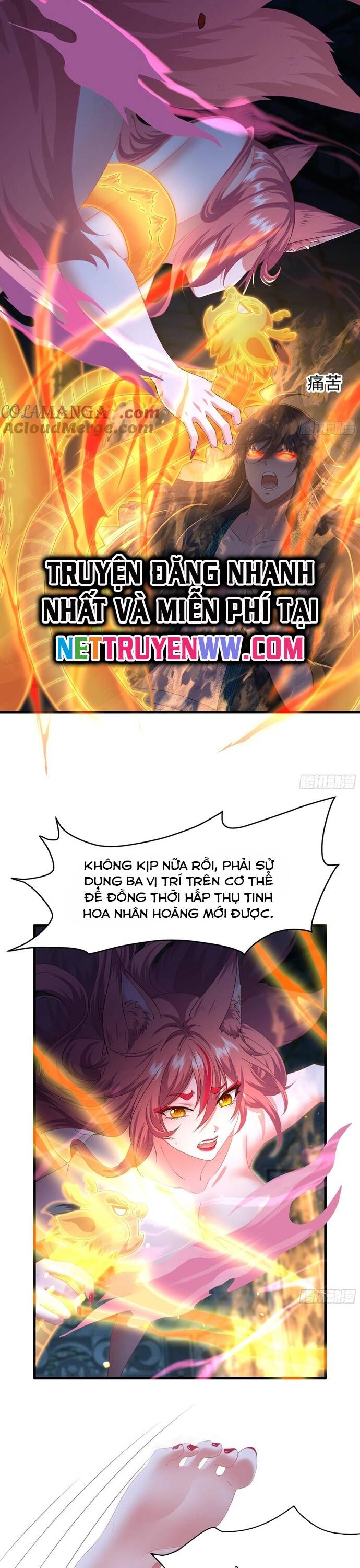 Tán Nhân Vô Địch Tái Sinh Vào Phong Thần Bảng Chapter 56 - 19
