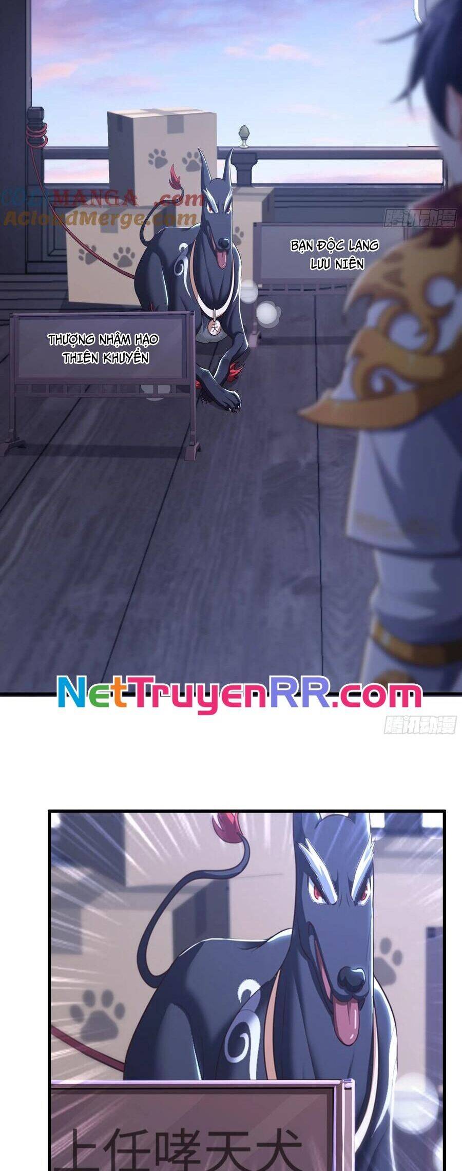 Tán Nhân Vô Địch Tái Sinh Vào Phong Thần Bảng Chapter 80 - 11