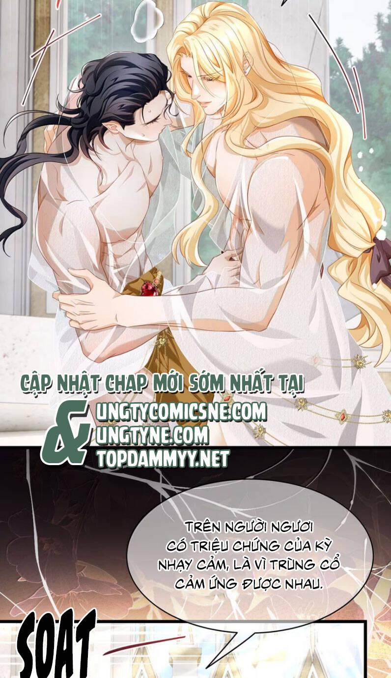 Tôi Trùng Sinh Trở Thành Tiểu Ác Long Của Vương Tử Điện Hạ Chapter 63 - 11