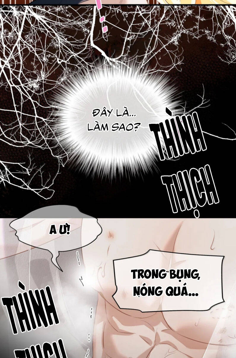 Tôi Trùng Sinh Trở Thành Tiểu Ác Long Của Vương Tử Điện Hạ Chapter 63 - 31