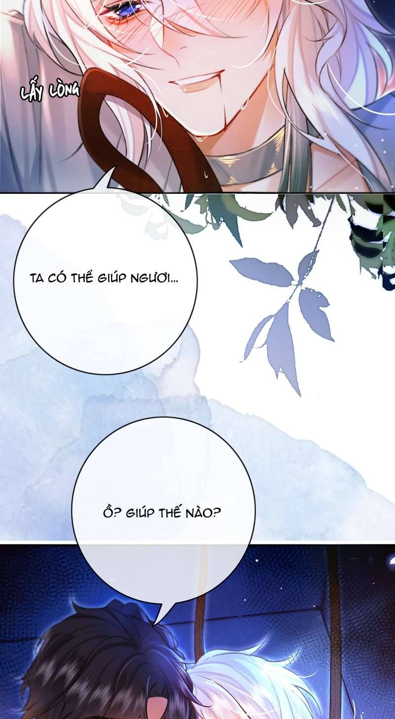 Nam Chủ Vì Sao Quyến Rũ Ta Chapter 6 - 6