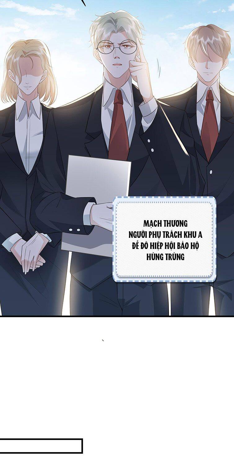 Xuyên Nhanh Chi Cải Tạo Bắt Đầu Lại Làm Người Chapter  32 - 15