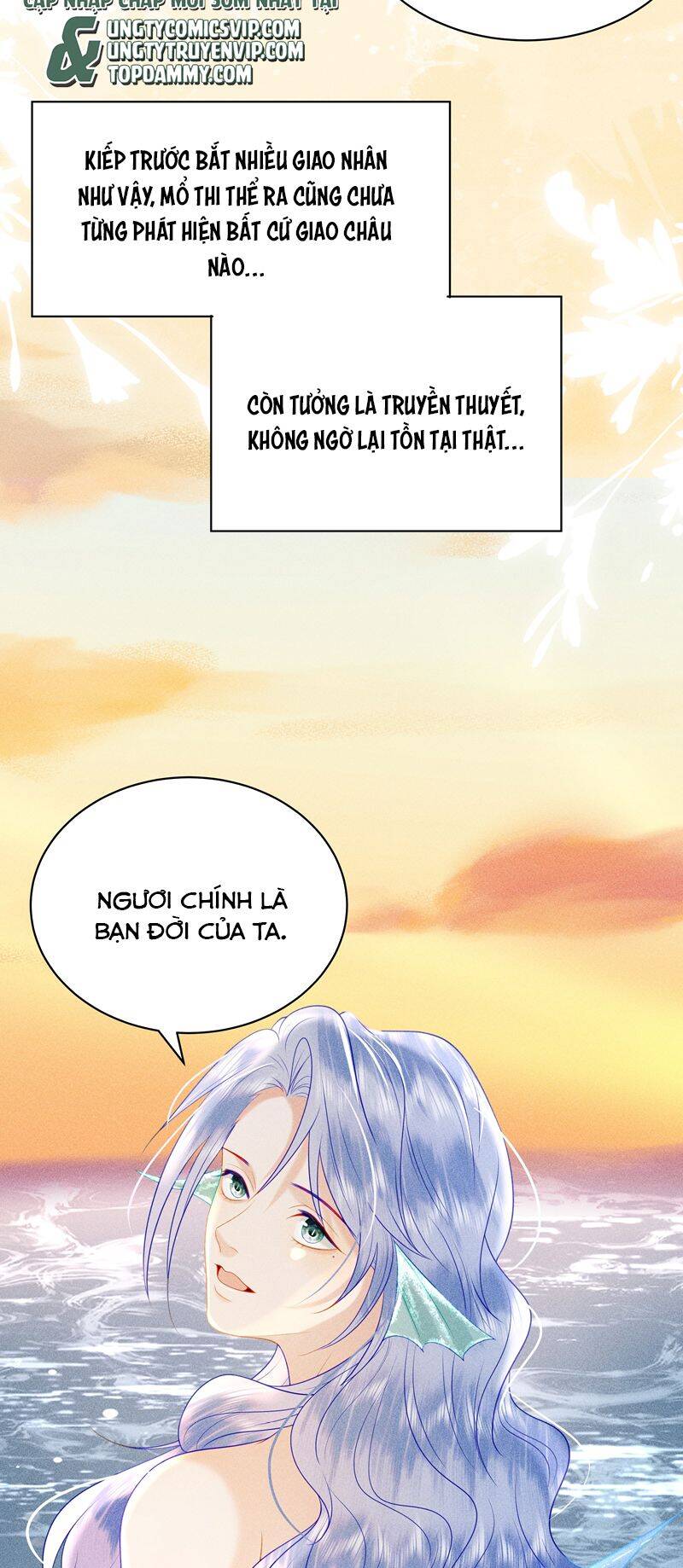 Xuyên Nhanh Chi Cải Tạo Bắt Đầu Lại Làm Người Chapter  90 - 21