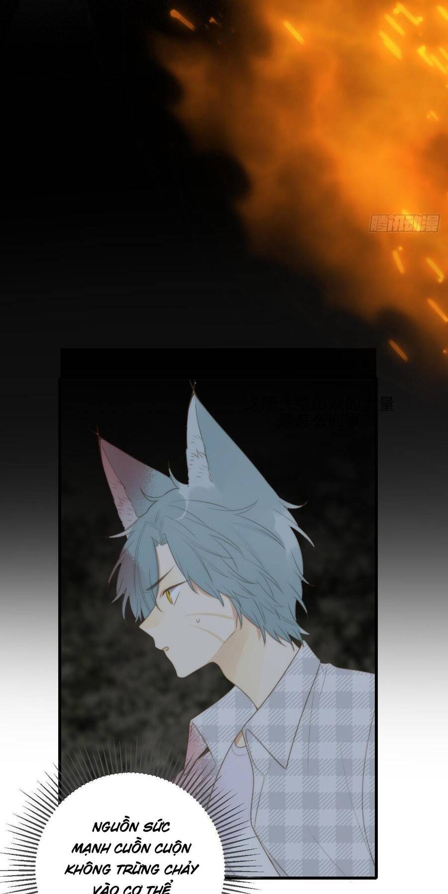 Chỉ Riêng Đuôi Là Không Được!!! Chapter 29 - 34