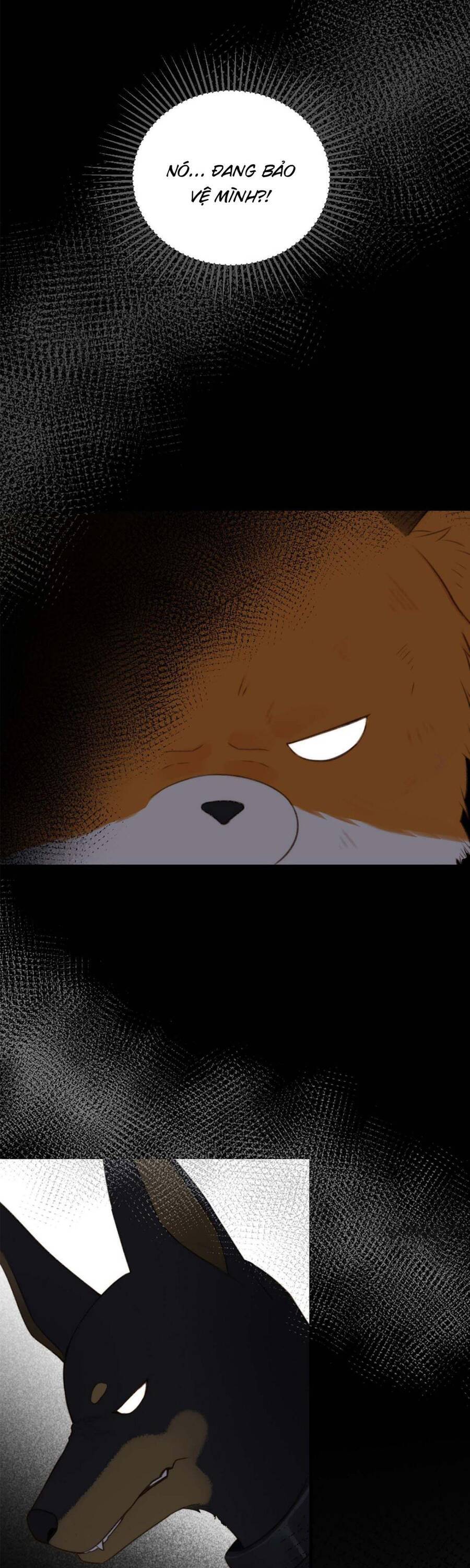 Chỉ Riêng Đuôi Là Không Được!!! Chapter 3 - 10