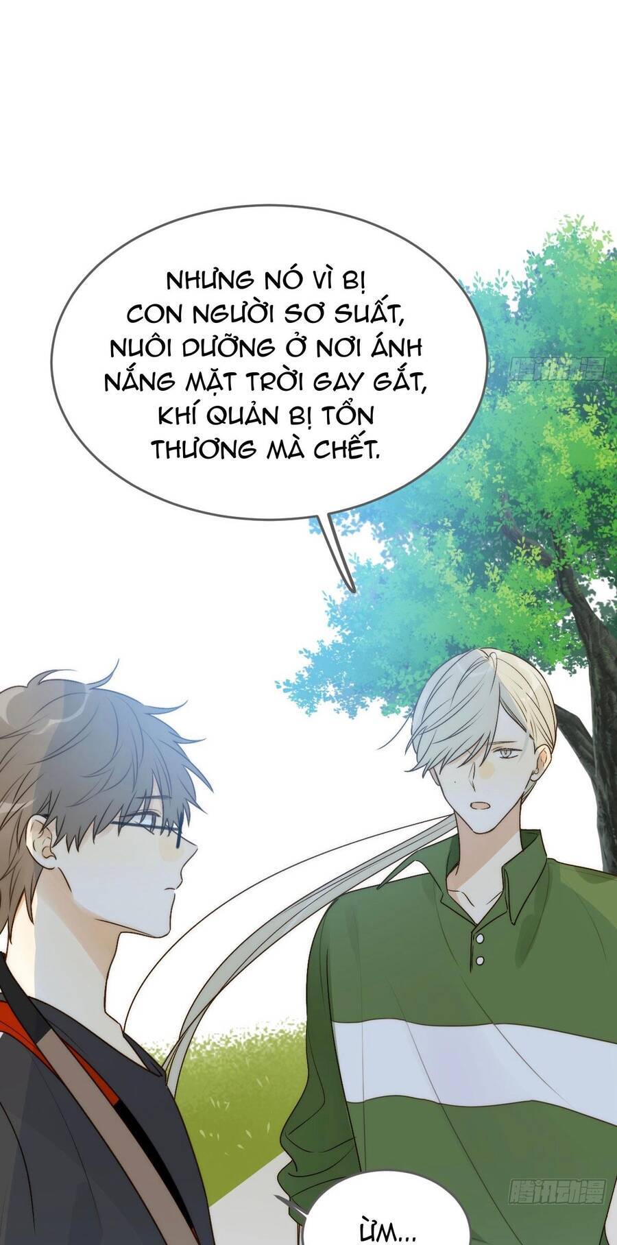 Chỉ Riêng Đuôi Là Không Được!!! Chapter 50 - 35