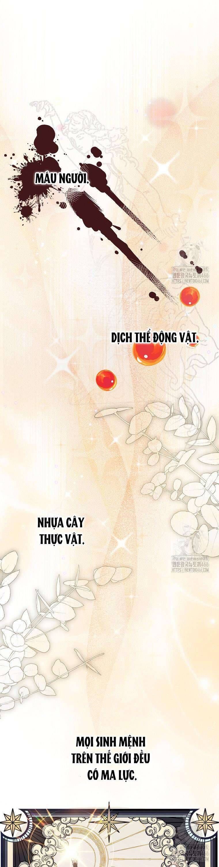 Công Nương Tái Sinh Chapter 24 - 20