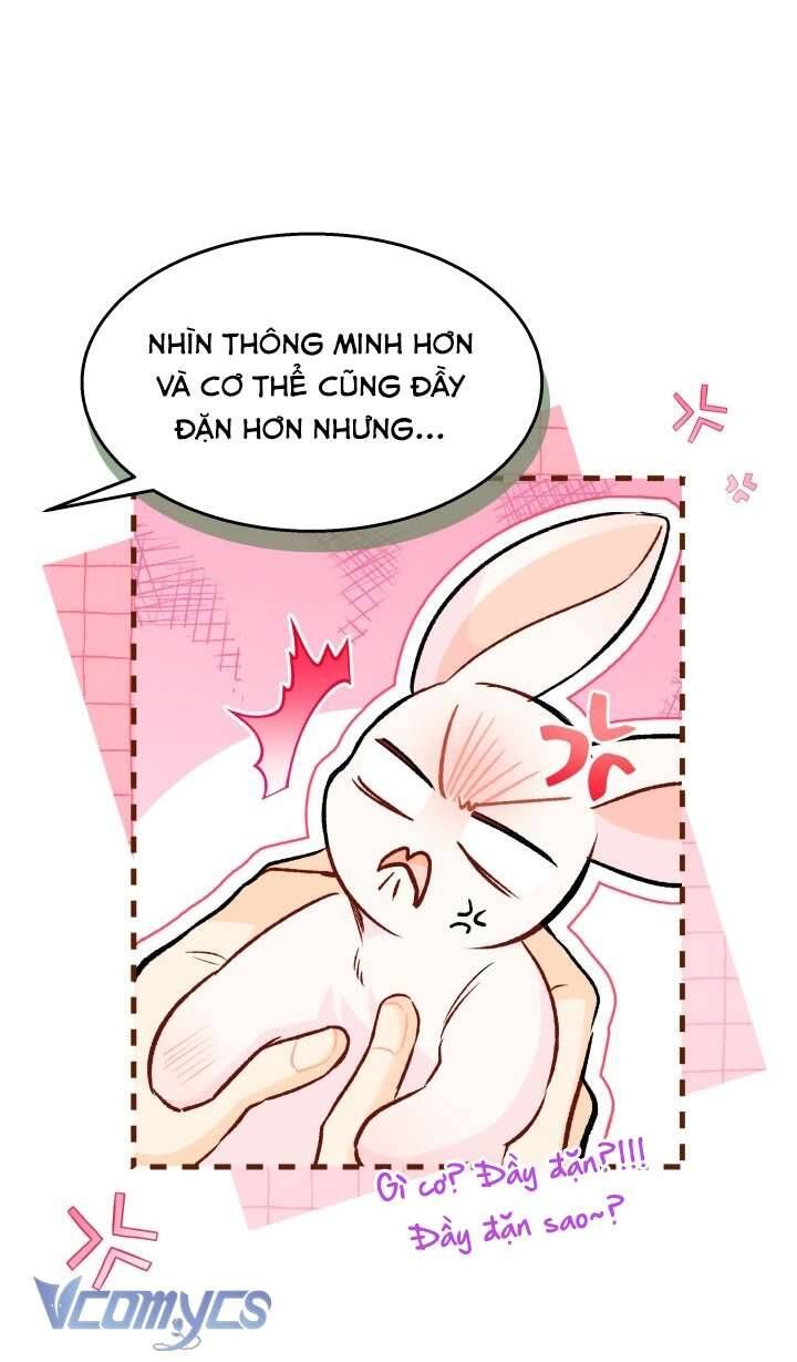 Mối Quan Hệ Cộng Sinh Giữa Báo Đen Và Thỏ Trắng Chapter 128 - 15