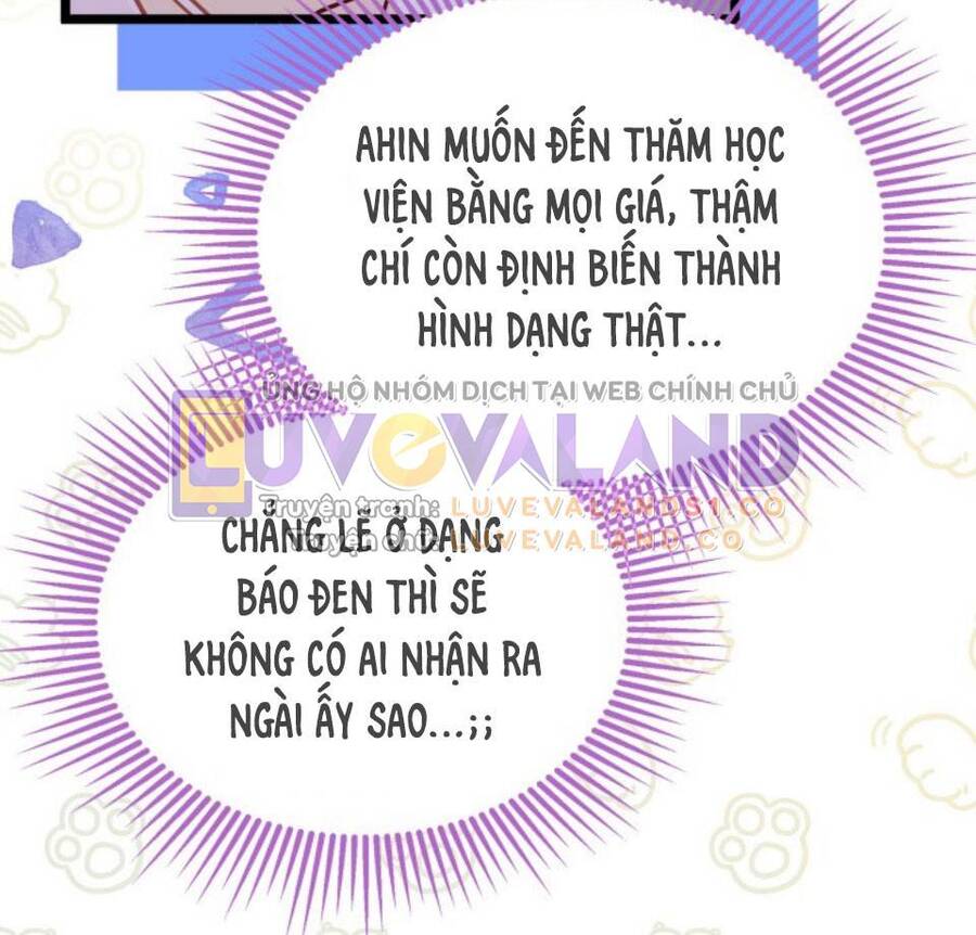 Mối Quan Hệ Cộng Sinh Giữa Báo Đen Và Thỏ Trắng Chapter 145 - 16
