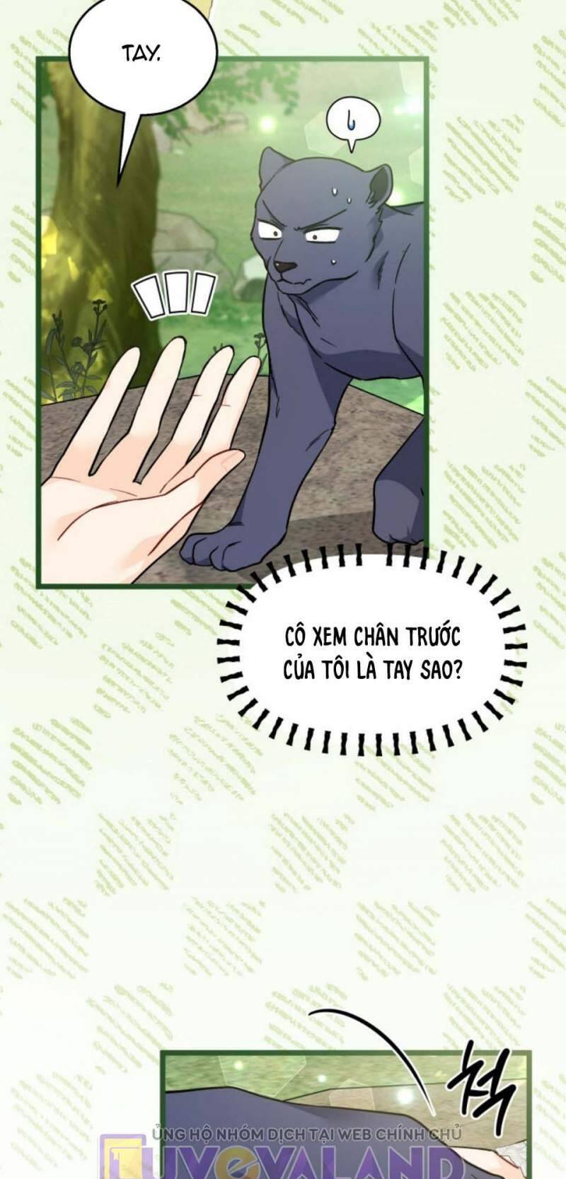 Mối Quan Hệ Cộng Sinh Giữa Báo Đen Và Thỏ Trắng Chapter 153 - 23