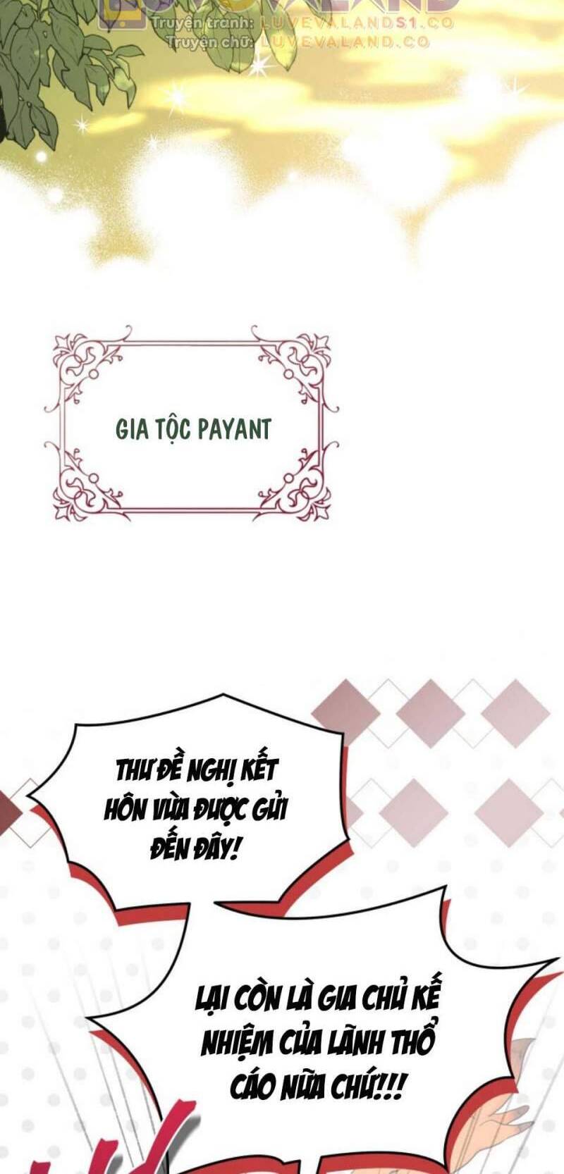 Mối Quan Hệ Cộng Sinh Giữa Báo Đen Và Thỏ Trắng Chapter 153 - 9