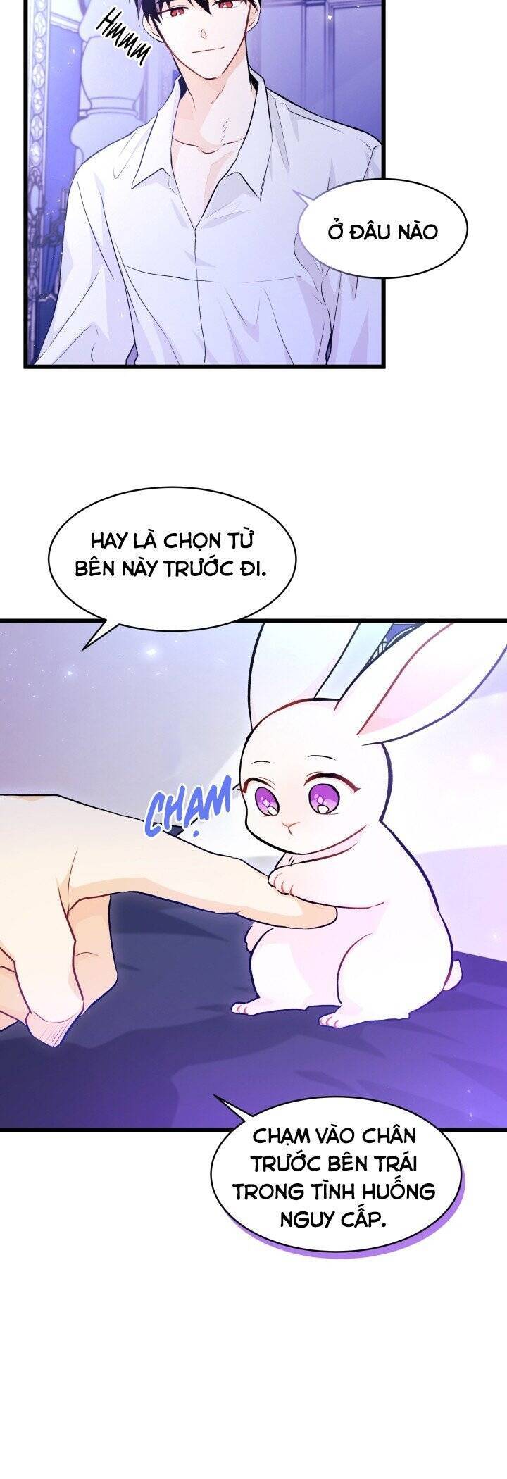 Mối Quan Hệ Cộng Sinh Giữa Báo Đen Và Thỏ Trắng Chapter 16 - 9