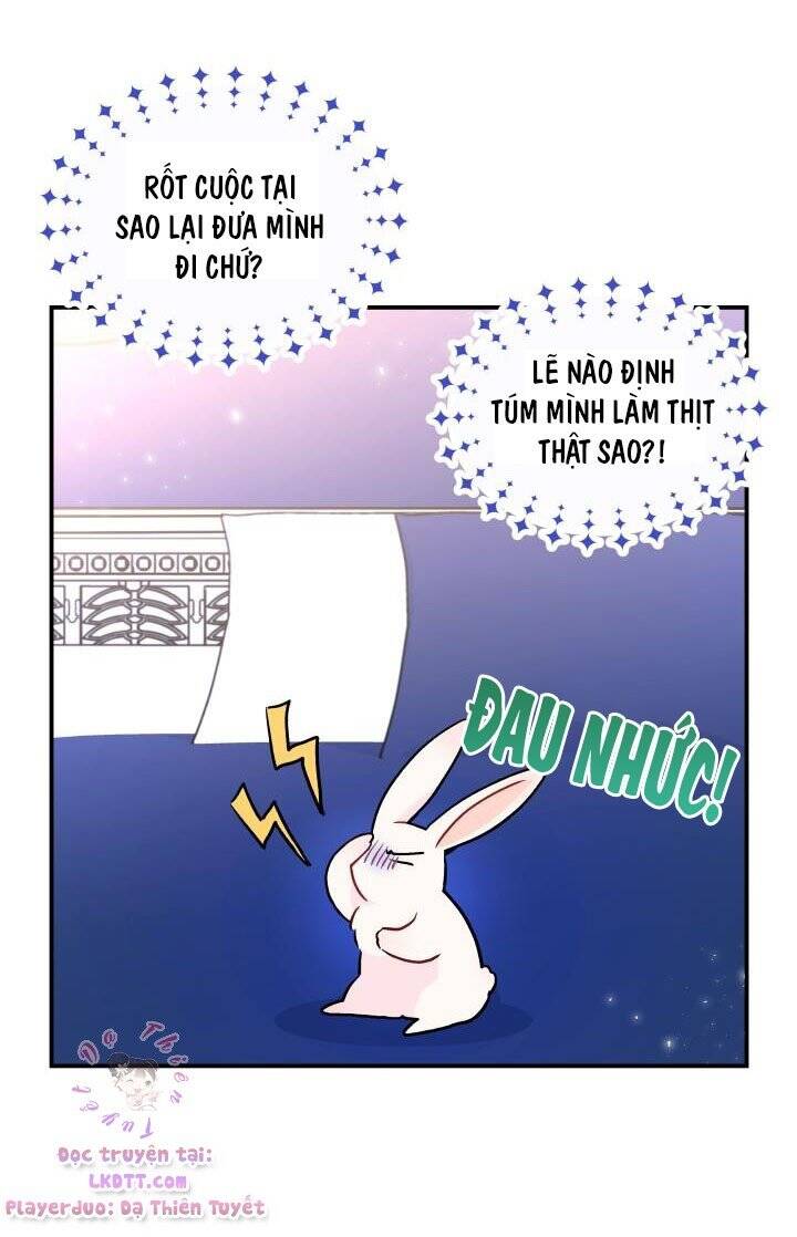 Mối Quan Hệ Cộng Sinh Giữa Báo Đen Và Thỏ Trắng Chapter 2 - 12