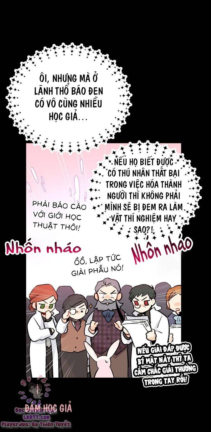 Mối Quan Hệ Cộng Sinh Giữa Báo Đen Và Thỏ Trắng Chapter 2 - 41