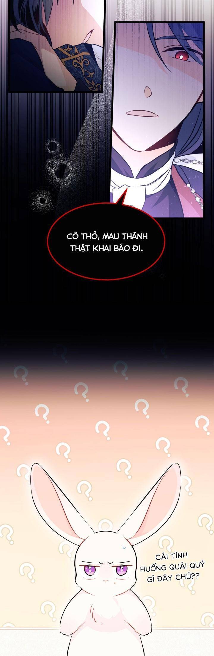 Mối Quan Hệ Cộng Sinh Giữa Báo Đen Và Thỏ Trắng Chapter 22 - 11
