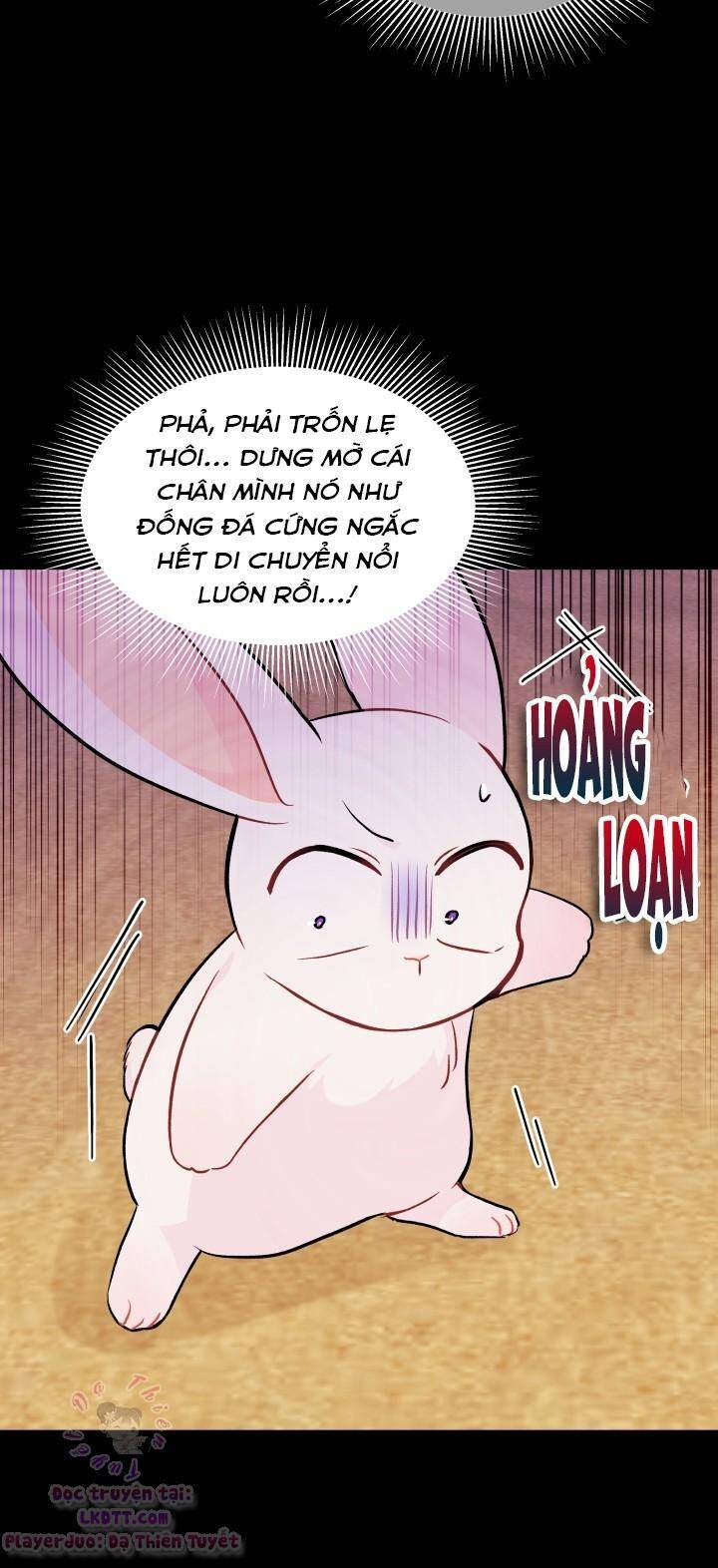 Mối Quan Hệ Cộng Sinh Giữa Báo Đen Và Thỏ Trắng Chapter 23 - 17