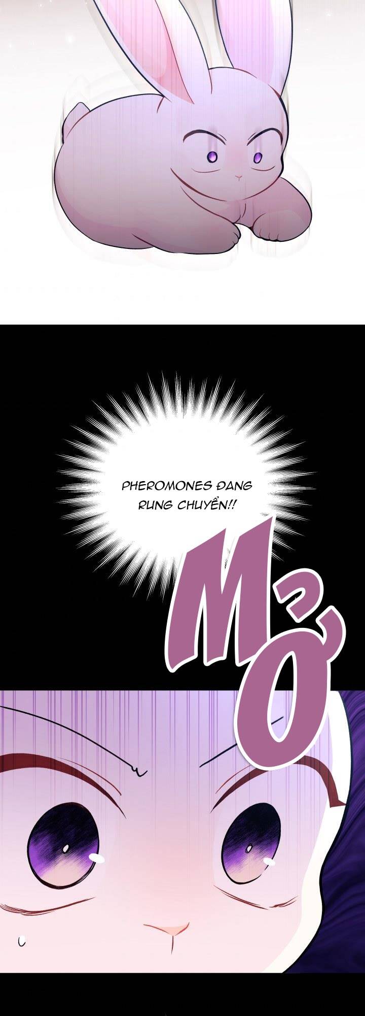Mối Quan Hệ Cộng Sinh Giữa Báo Đen Và Thỏ Trắng Chapter 27 - 53
