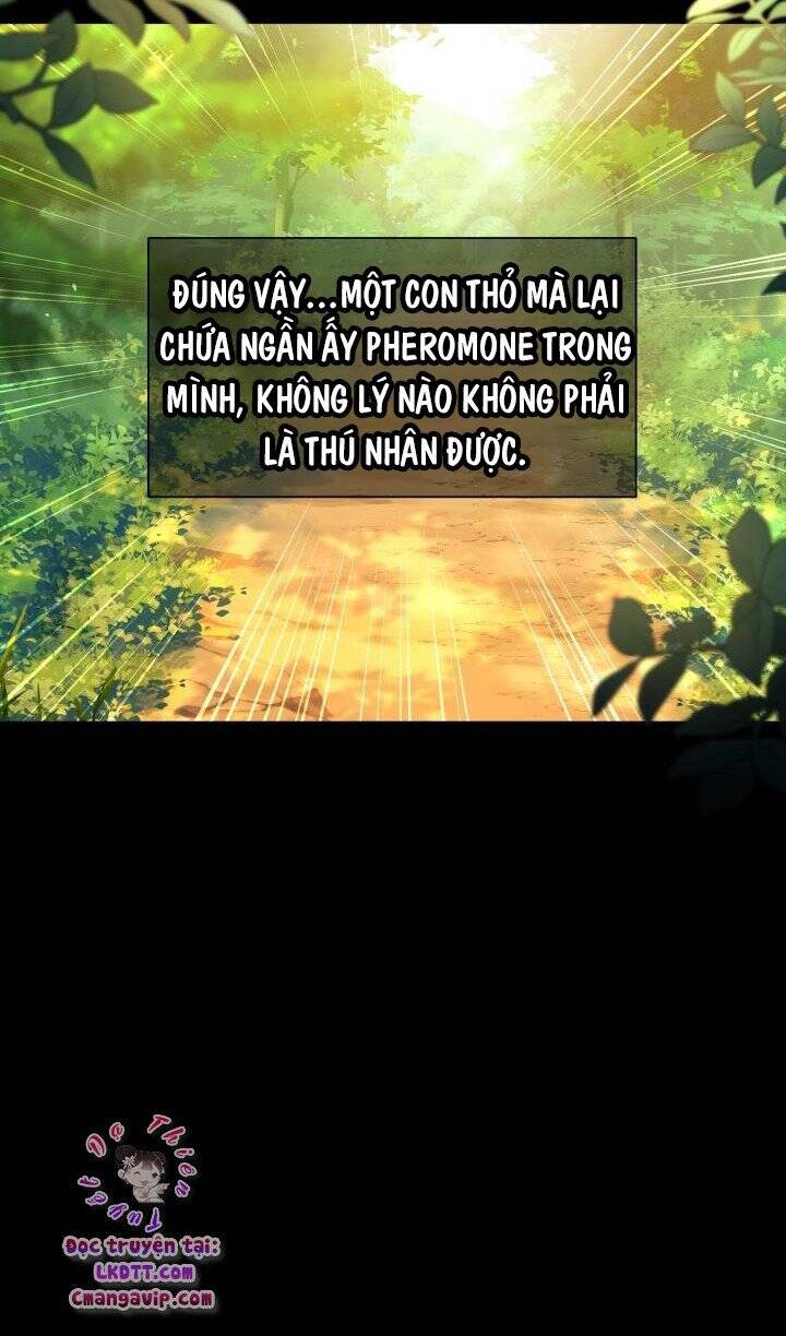 Mối Quan Hệ Cộng Sinh Giữa Báo Đen Và Thỏ Trắng Chapter 29 - 66