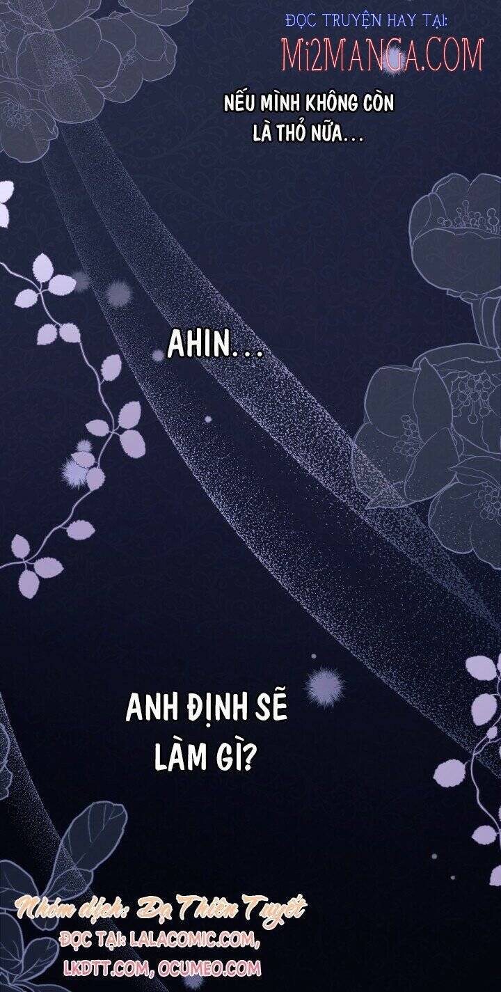 Mối Quan Hệ Cộng Sinh Giữa Báo Đen Và Thỏ Trắng Chapter 37.5 - 10