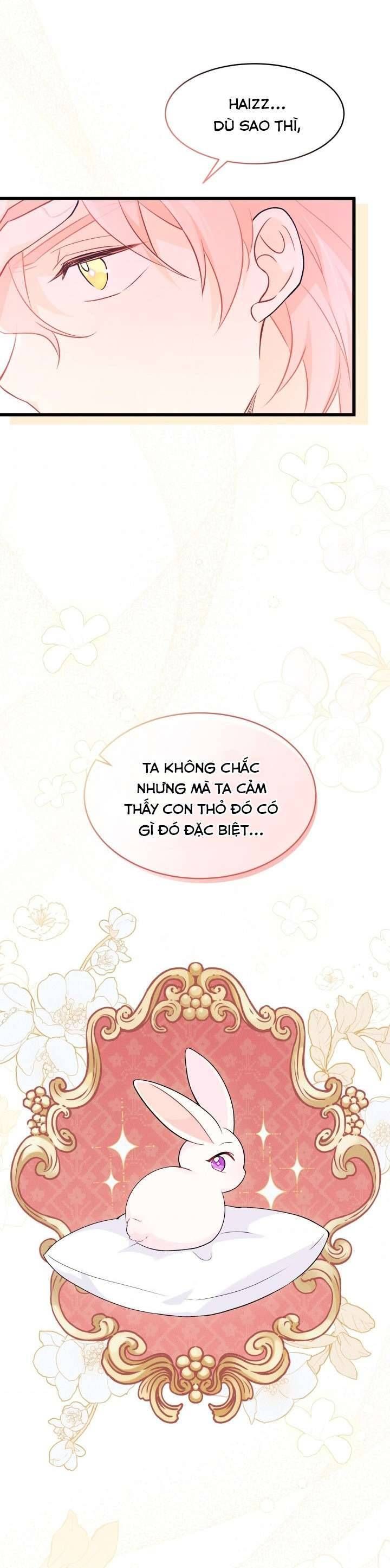Mối Quan Hệ Cộng Sinh Giữa Báo Đen Và Thỏ Trắng Chapter 38 - 48