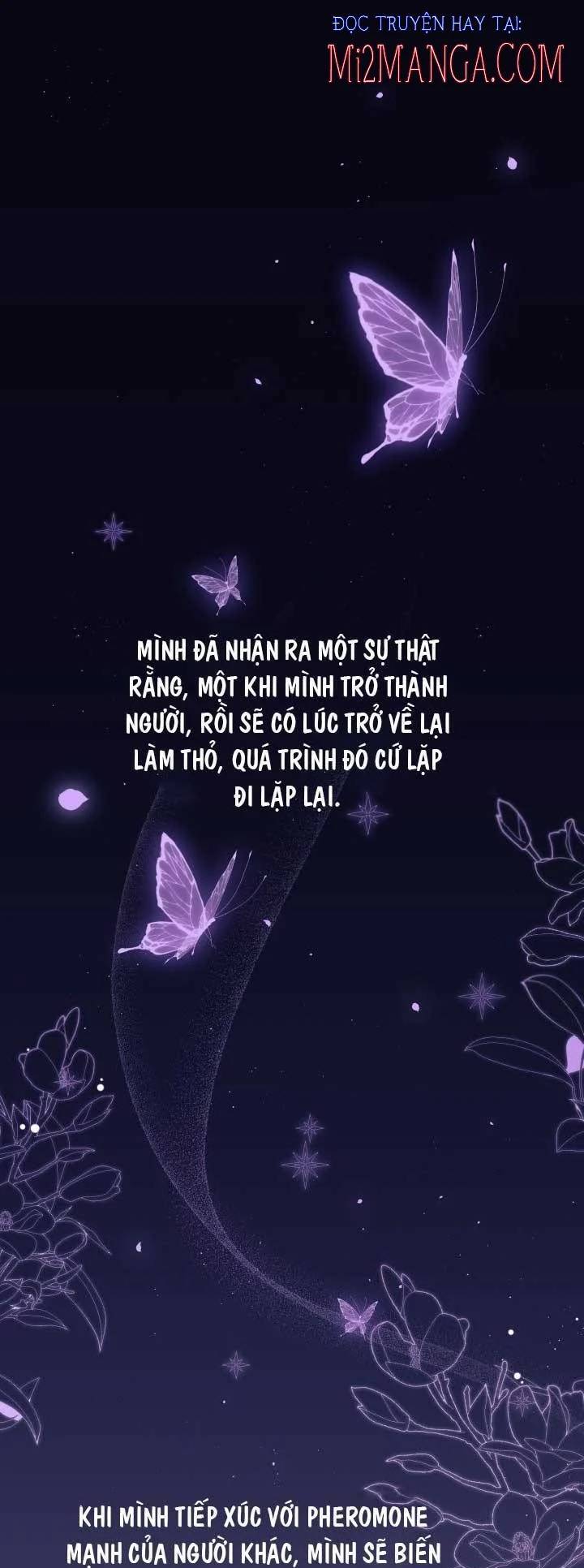 Mối Quan Hệ Cộng Sinh Giữa Báo Đen Và Thỏ Trắng Chapter 44 - 2