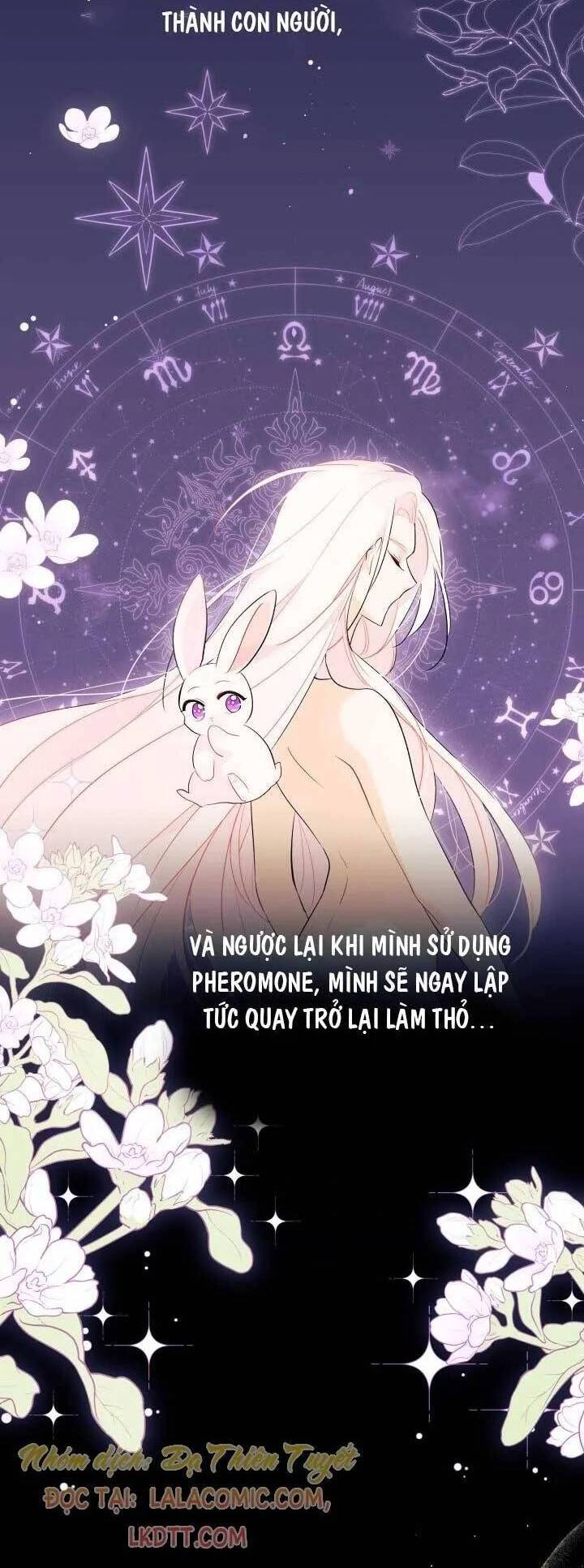 Mối Quan Hệ Cộng Sinh Giữa Báo Đen Và Thỏ Trắng Chapter 44 - 3