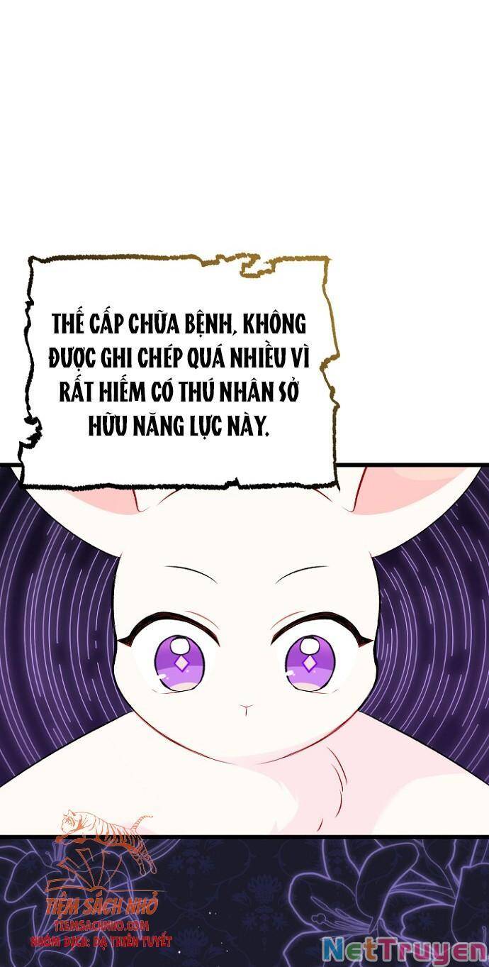 Mối Quan Hệ Cộng Sinh Giữa Báo Đen Và Thỏ Trắng Chapter 47 - 59