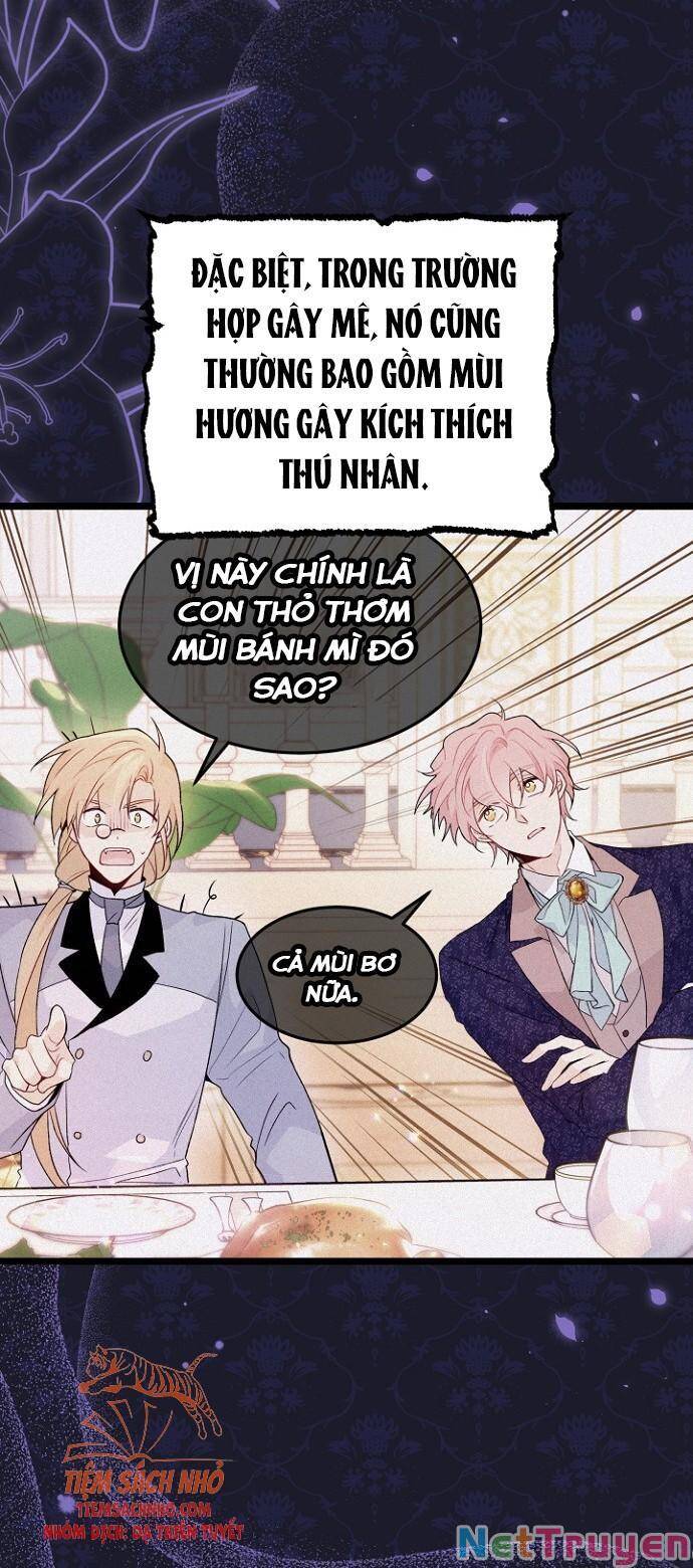 Mối Quan Hệ Cộng Sinh Giữa Báo Đen Và Thỏ Trắng Chapter 47 - 62