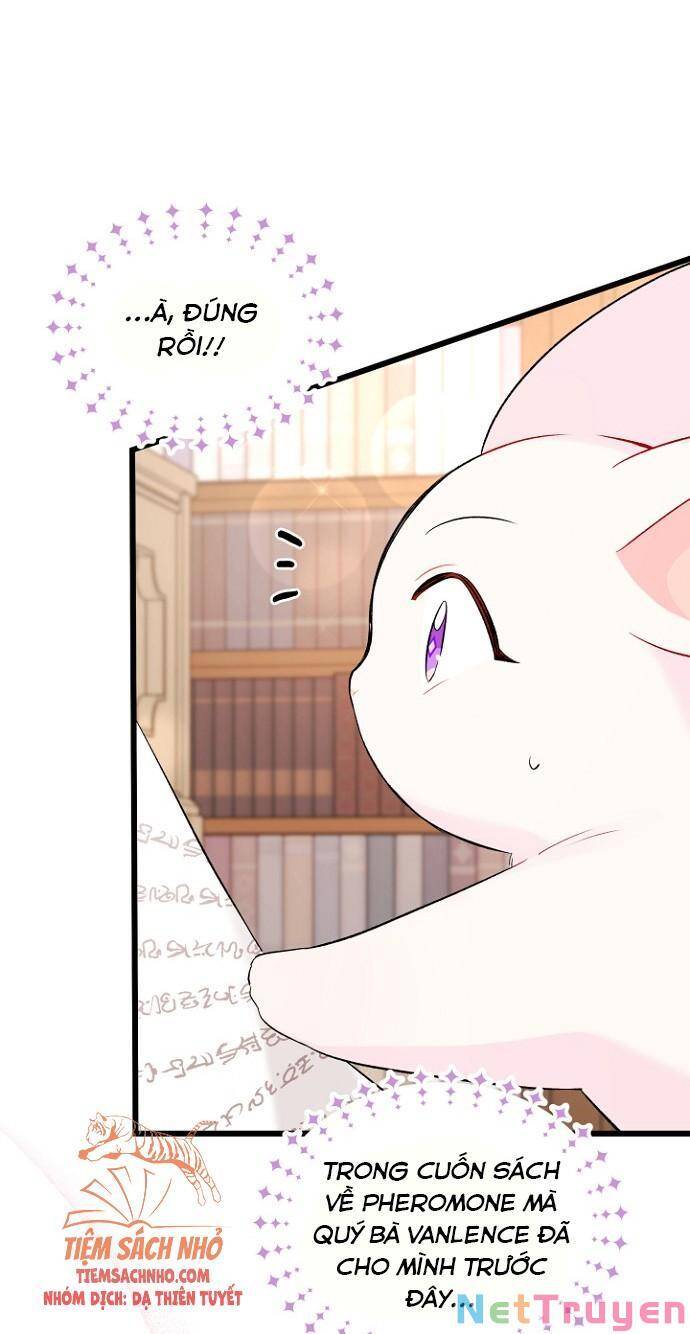 Mối Quan Hệ Cộng Sinh Giữa Báo Đen Và Thỏ Trắng Chapter 47 - 66