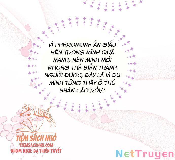 Mối Quan Hệ Cộng Sinh Giữa Báo Đen Và Thỏ Trắng Chapter 47 - 67