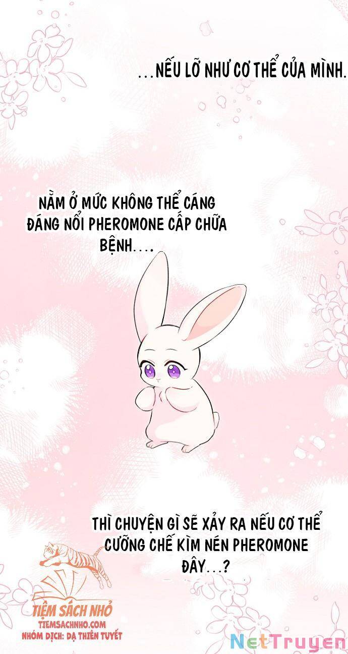 Mối Quan Hệ Cộng Sinh Giữa Báo Đen Và Thỏ Trắng Chapter 47 - 68