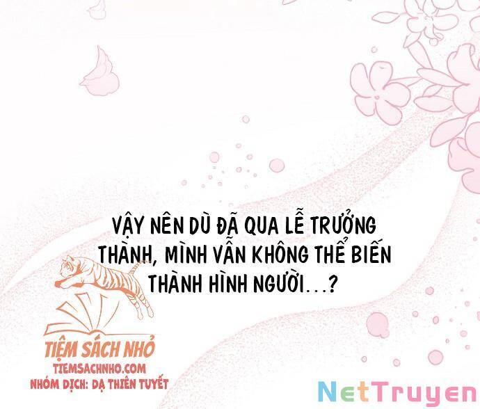 Mối Quan Hệ Cộng Sinh Giữa Báo Đen Và Thỏ Trắng Chapter 47 - 69