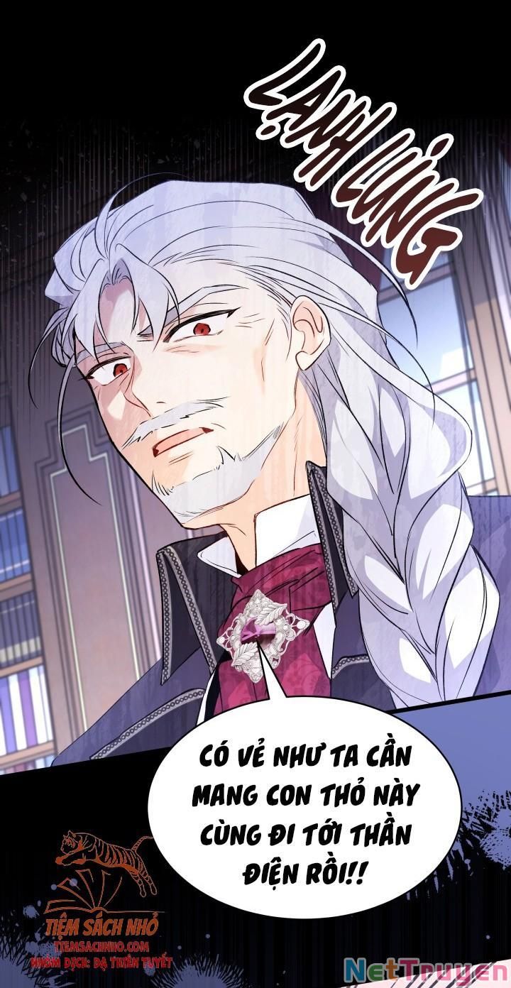Mối Quan Hệ Cộng Sinh Giữa Báo Đen Và Thỏ Trắng Chapter 48 - 50