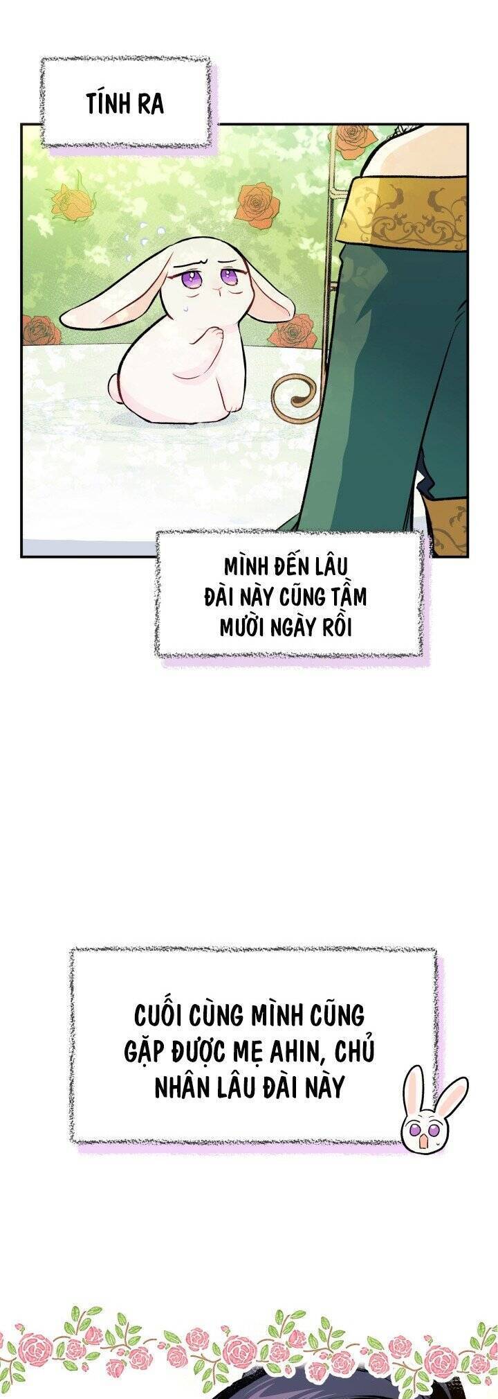 Mối Quan Hệ Cộng Sinh Giữa Báo Đen Và Thỏ Trắng Chapter 5 - 12