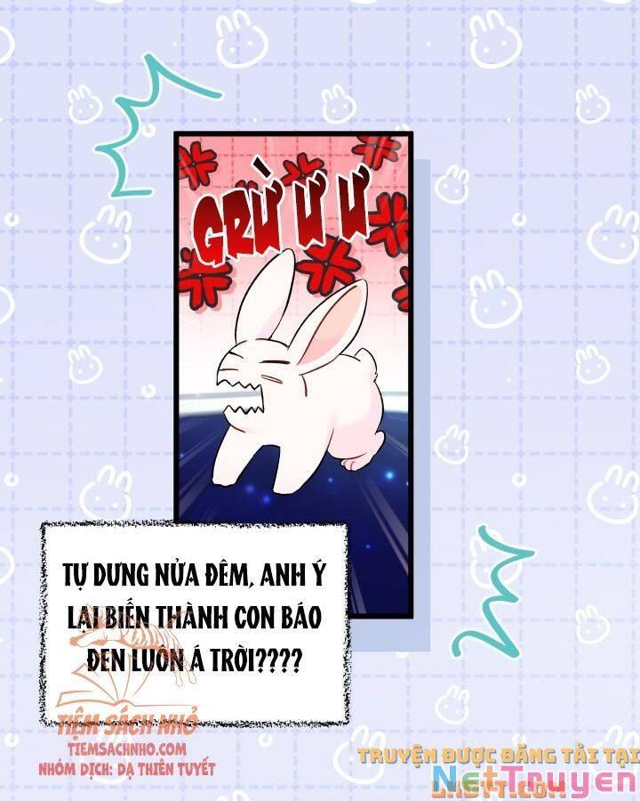 Mối Quan Hệ Cộng Sinh Giữa Báo Đen Và Thỏ Trắng Chapter 56 - 25