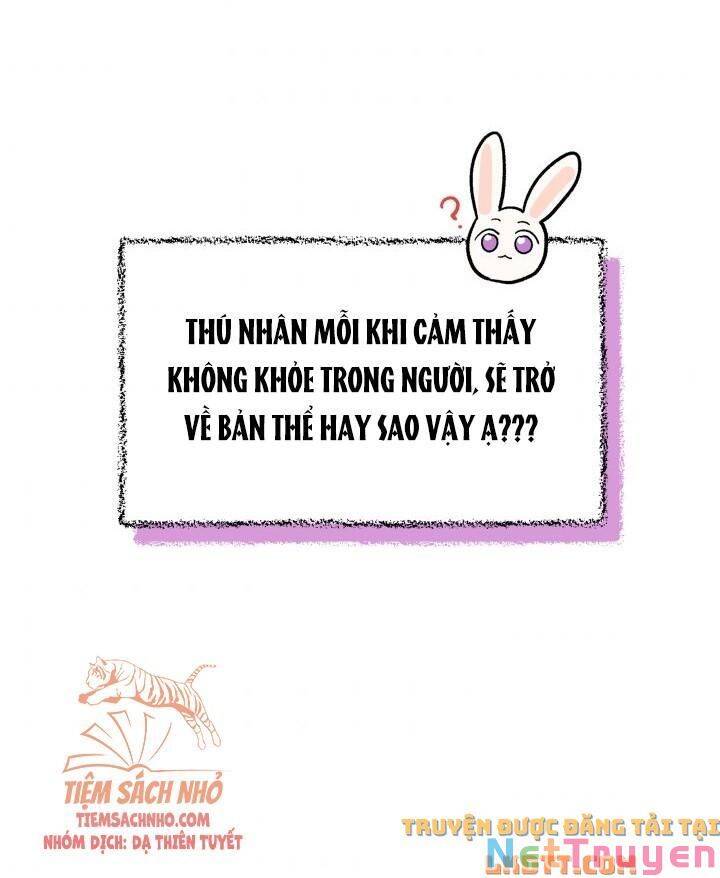 Mối Quan Hệ Cộng Sinh Giữa Báo Đen Và Thỏ Trắng Chapter 56 - 27