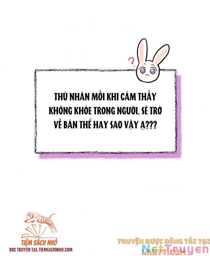 Mối Quan Hệ Cộng Sinh Giữa Báo Đen Và Thỏ Trắng Chapter 58 - 27