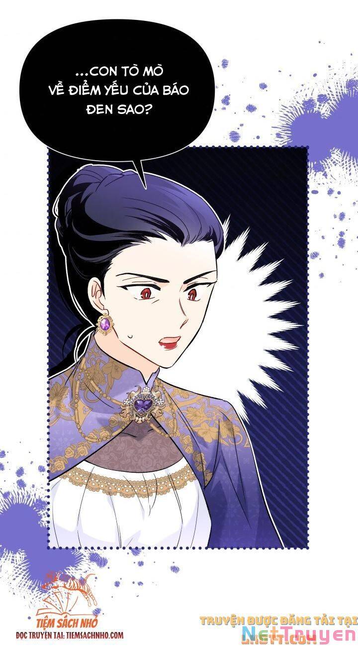 Mối Quan Hệ Cộng Sinh Giữa Báo Đen Và Thỏ Trắng Chapter 58 - 28