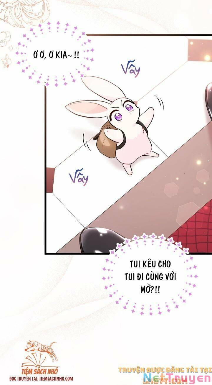 Mối Quan Hệ Cộng Sinh Giữa Báo Đen Và Thỏ Trắng Chapter 59 - 24