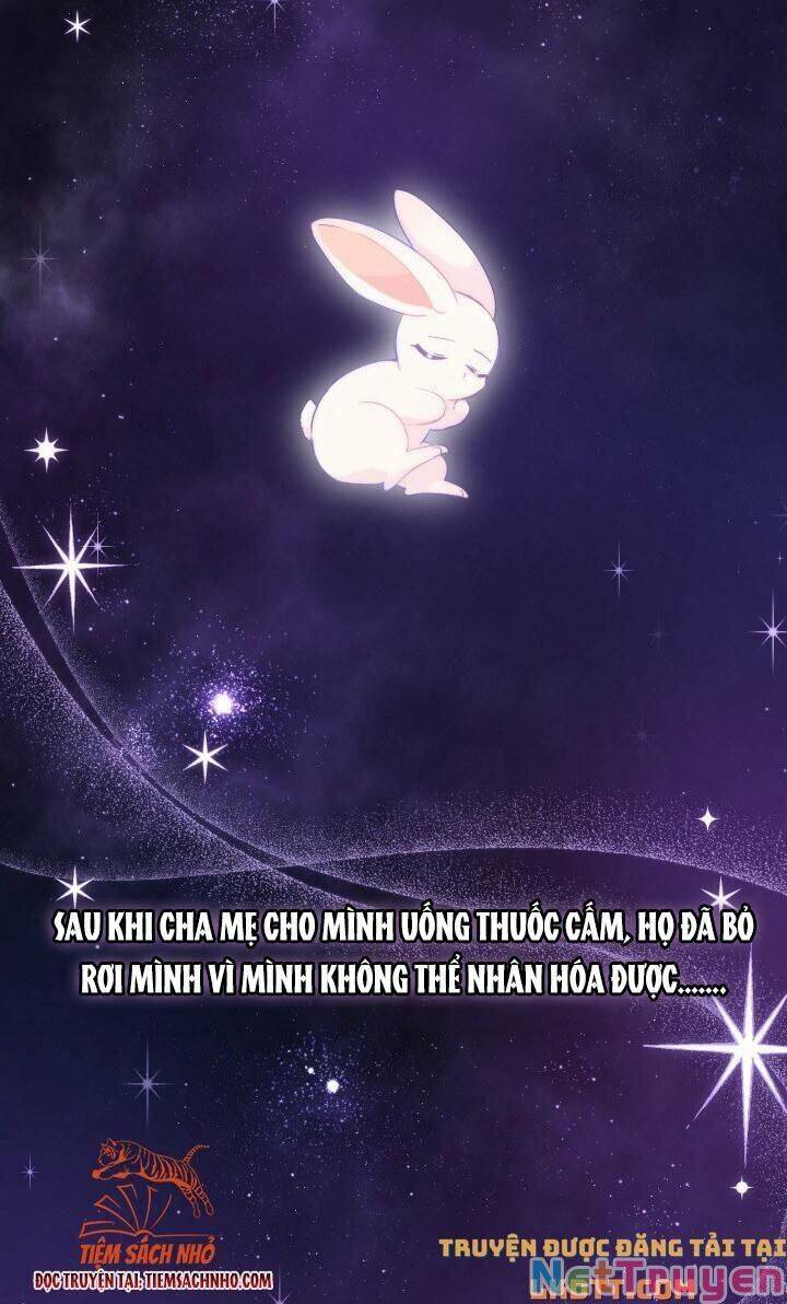 Mối Quan Hệ Cộng Sinh Giữa Báo Đen Và Thỏ Trắng Chapter 59 - 4