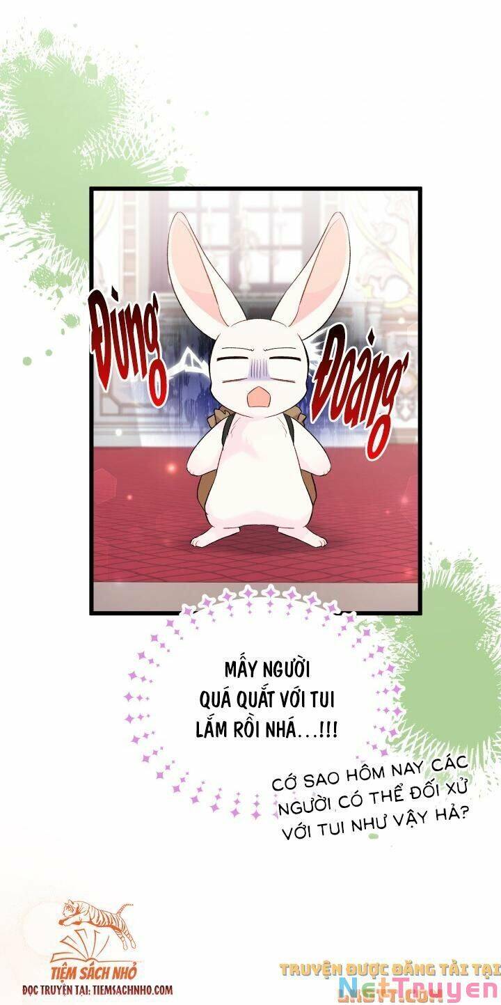 Mối Quan Hệ Cộng Sinh Giữa Báo Đen Và Thỏ Trắng Chapter 59 - 33