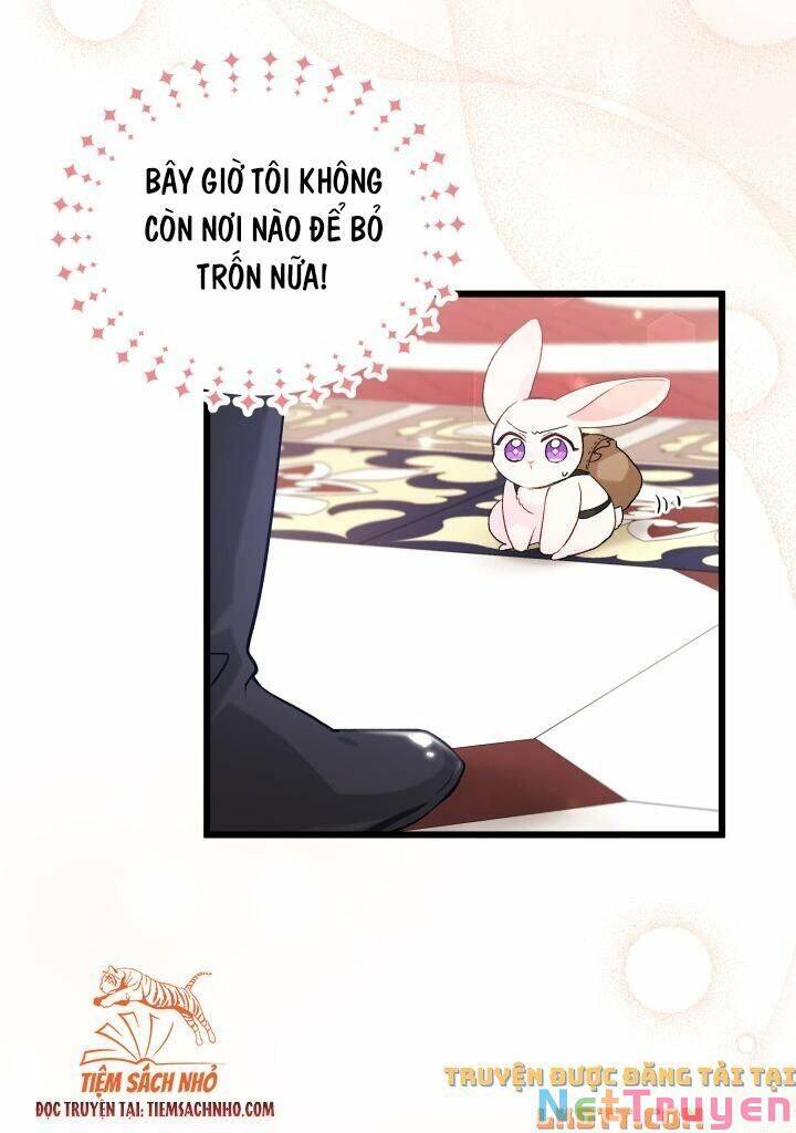 Mối Quan Hệ Cộng Sinh Giữa Báo Đen Và Thỏ Trắng Chapter 59 - 52