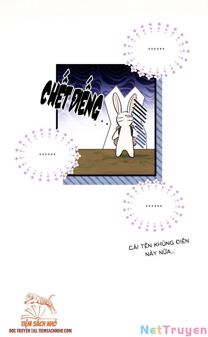 Mối Quan Hệ Cộng Sinh Giữa Báo Đen Và Thỏ Trắng Chapter 61 - 49