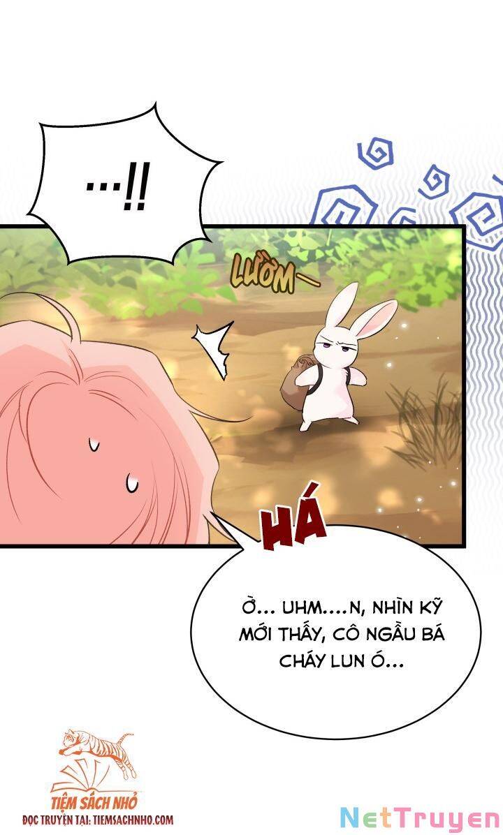 Mối Quan Hệ Cộng Sinh Giữa Báo Đen Và Thỏ Trắng Chapter 61 - 50